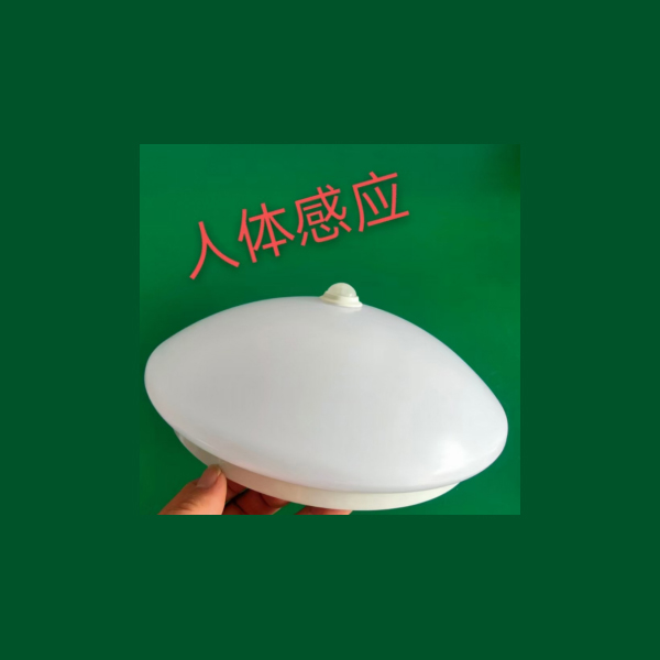 人體、雷達(dá)