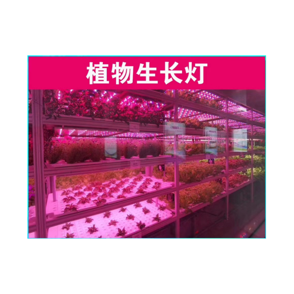 植物生長燈